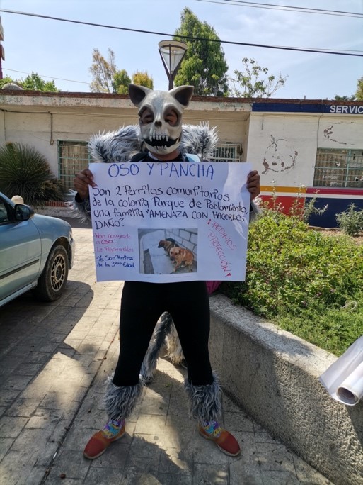 Manifestante en pro de los perros en Prepa 1, Pachuca, Hidalgo