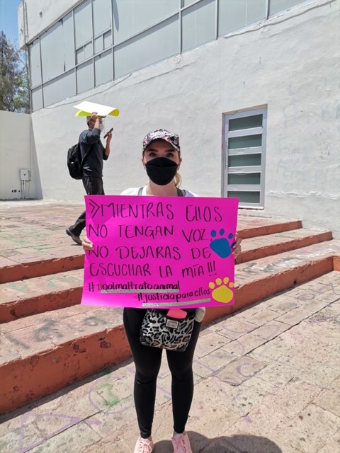 Manifestante en pro de los perros