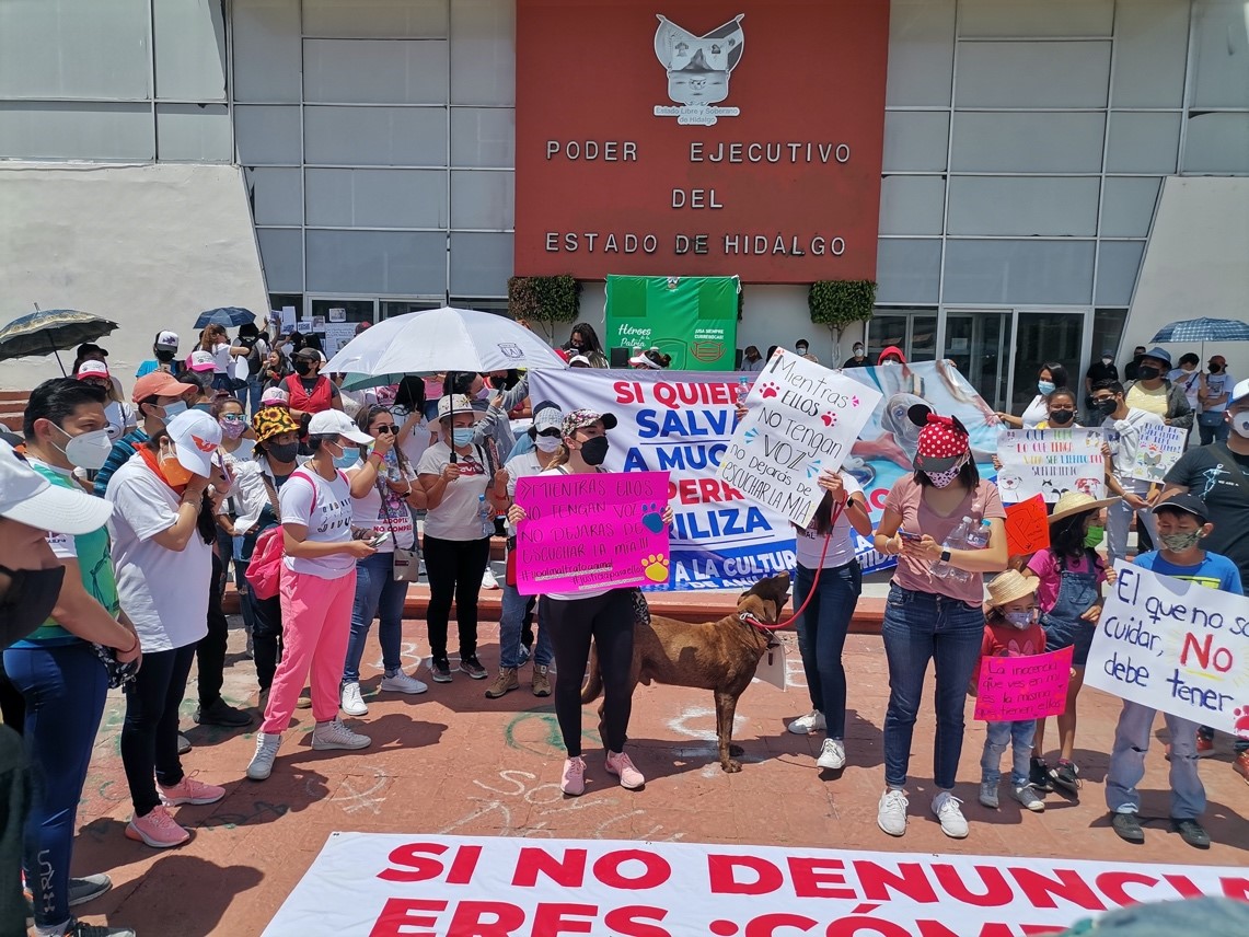 p Manifestación en pro de los animales en Palacio de Gobierno, Hidalgo, México