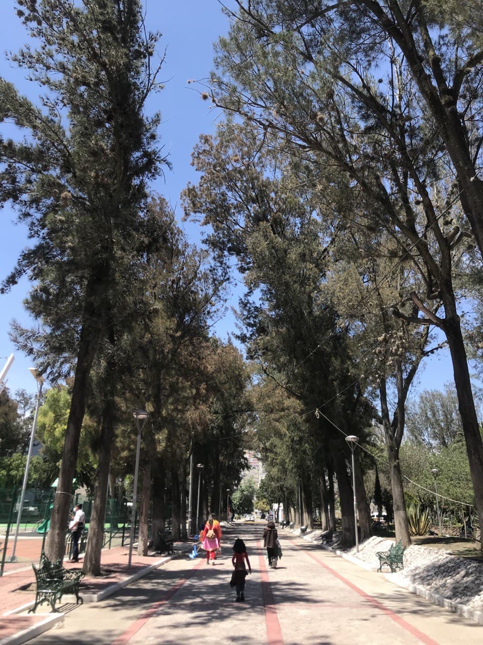 Parque Hidalgo, Pachuca de Soto