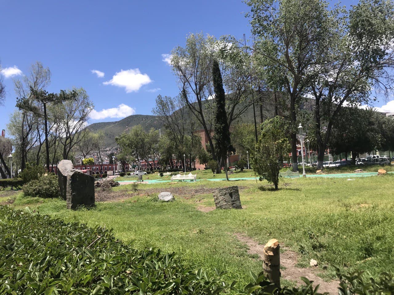Jardín de Palacio de Gobierno sin árboles tras plaga