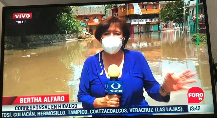 Bertha Alfaro