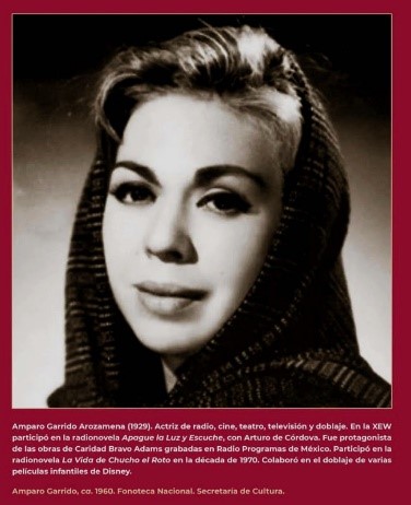 AMPARO GARRIDO AROZAMENA
