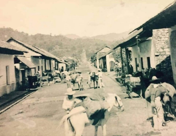 Lolotla Hidalgo