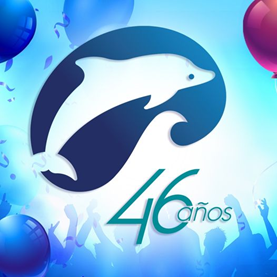 46 años de stereo 100