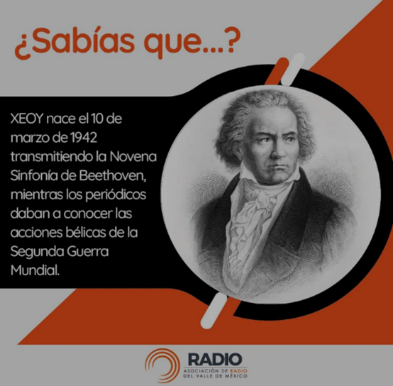 dato curioso para la paz