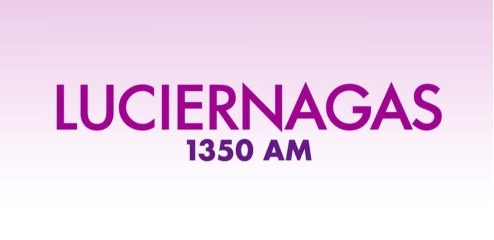 Luciérnagas 1350